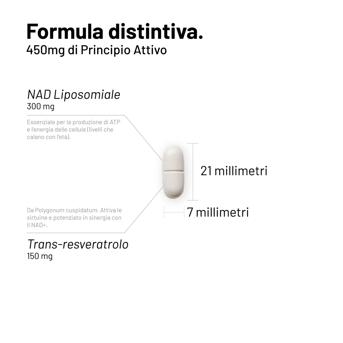 NAD+ Liposomiale 300 mg | Antiage, Energia cellulare, Fatica | 60 Compresse  | NAD+ Liposomiale 300 mg | Formula Avanzata con Trans-resveratrolo | Antiage, Contro la Fatica, Longevità| Made in Italy