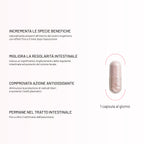 Probiotici Donna Flora Intima - 9 MLD Probiotici Selezionati - 30 Capsule - Microbiota femminile | Per Candida, Cistite, Vaginosi | L. Rhamnosus, L. Paracasei e L. Plantarum | Made in Italy